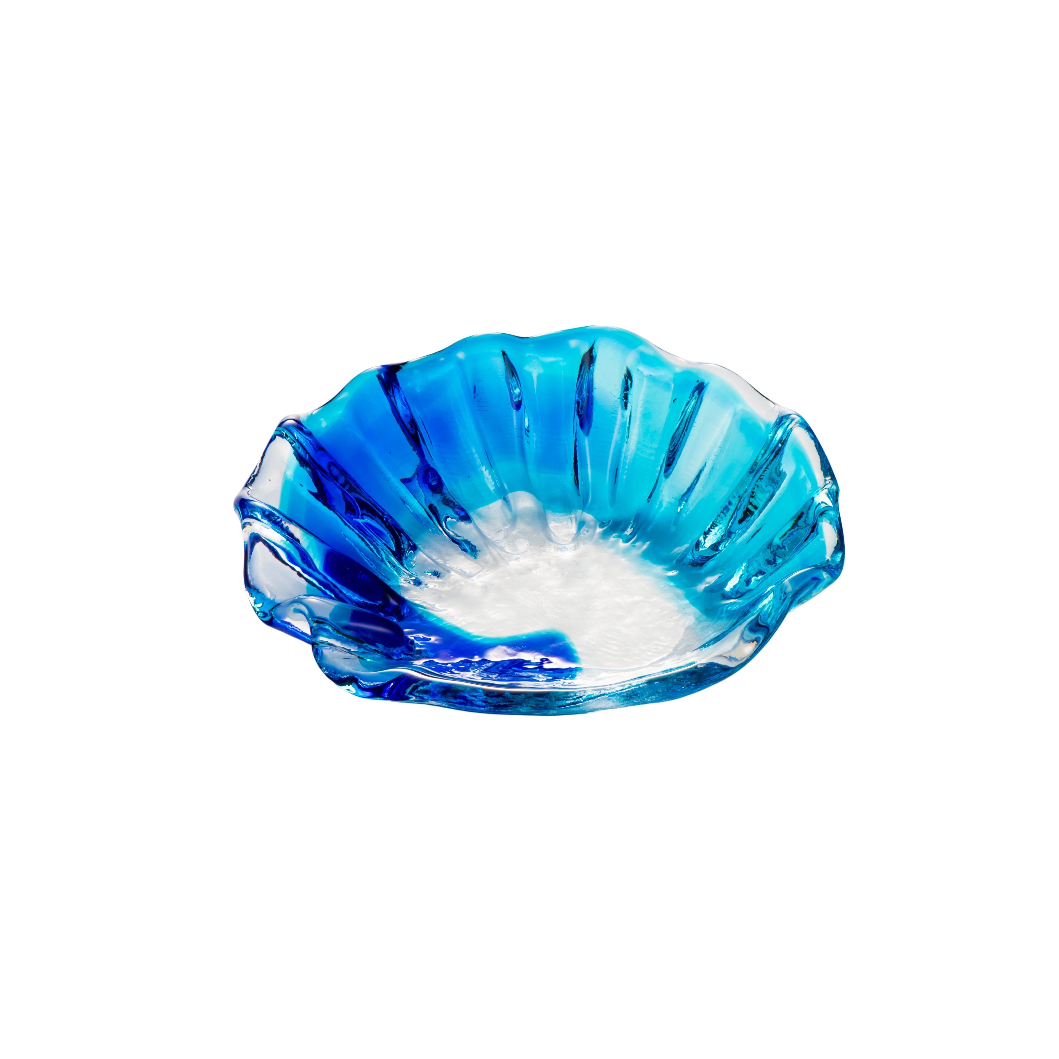 マーメイドディッシュ 青水